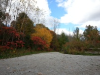 Don Valley Brickworks in Fall